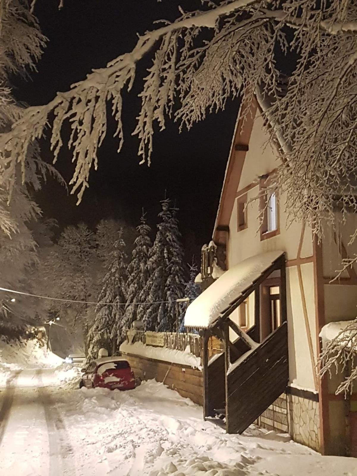 Studio Potocic Kopaonik Exterior foto
